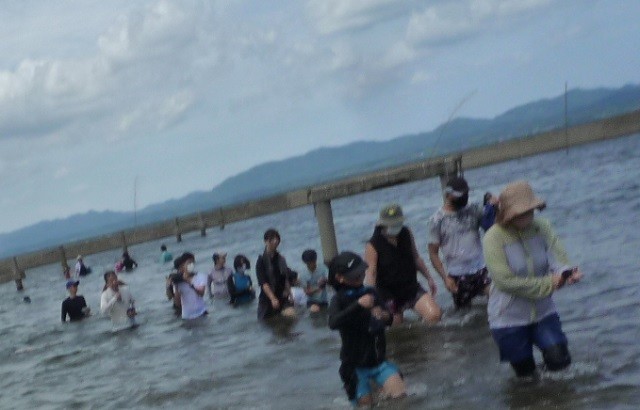 宍道湖に入ってシジミを採る参加者の様子