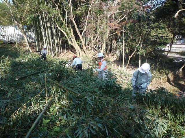 竹藪で伐採作業をする参加者の様子