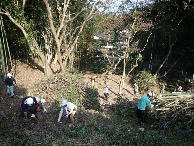 竹藪の伐採作業を進める参加者の様子