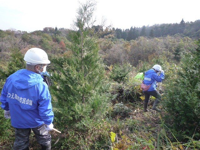 4年前に植樹したヒノキの生育を妨げる他の樹木を刈り払う除伐作業の様子